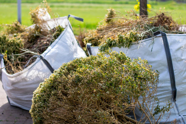 Reliable Alma, AR Junk Removal Solutions